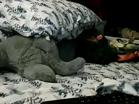 Snapshot of WHITEDAROSE chatting on 15, 1, 2025 WHITEDAROSE online show from 15, 1, 2025