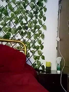 amatista 3012 online show from 13, 10, 2025