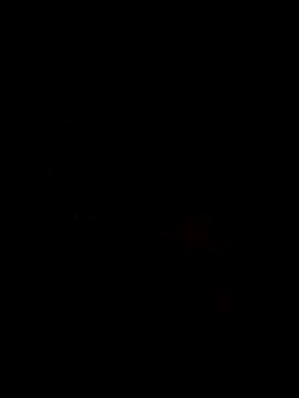 Snapshot of Ory22 chatting on 1, 11, 2025 Ory22 online show from 1, 11, 2025