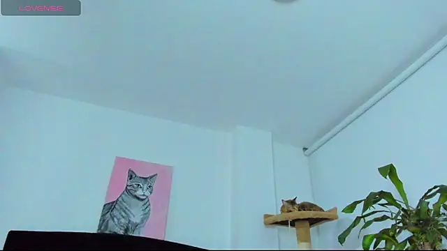 JuliaRose ks online show from 26, 3, 2026