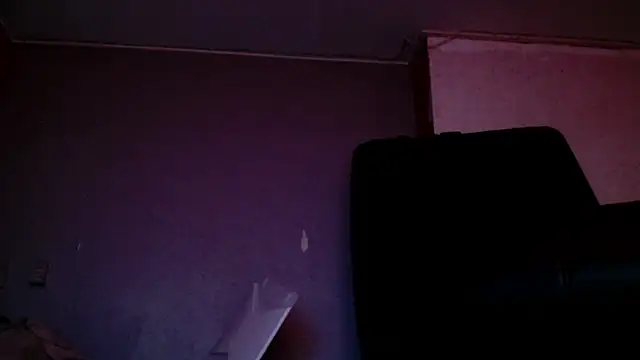 Snapshot of Gigadickman chatting on 15, 12, 2024 Gigadickman online show from 15, 12, 2024