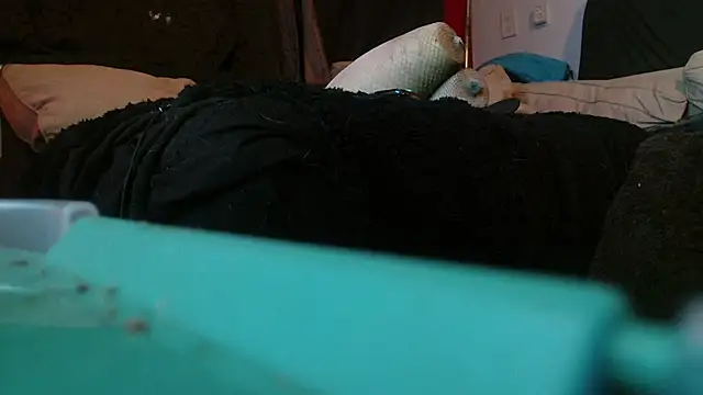 Snapshot of Gigadickman chatting on 15, 1, 2025 Gigadickman online show from 15, 1, 2025