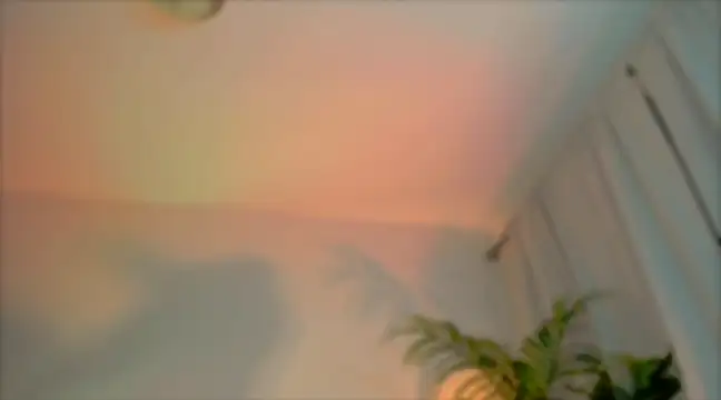  cherry bloss  online show from 4, 3, 2025