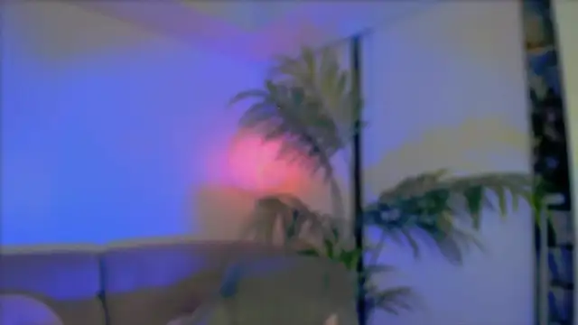  cherry bloss  online show from 8, 10, 2025