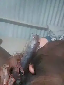 Snapshot of advocate2 chatting on 8, 11, 2025 advocate2 online show from 8, 11, 2025