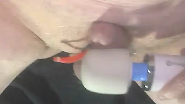 Snapshot of trittico chatting on 9, 10, 2025 trittico online show from 9, 10, 2025