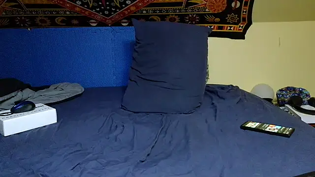 Spacecase2021 online show from 7, 1, 2025