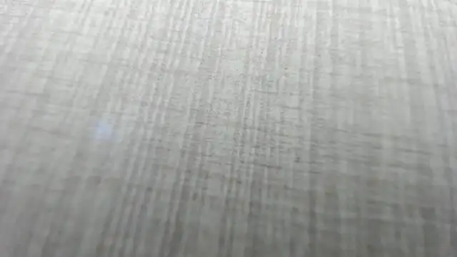 AishaRouhi online show from 2, 12, 2025