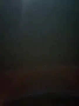 cumshotboy01 online show from 16, 12, 2024