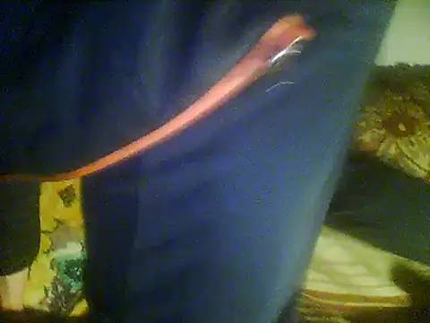 Rejtelmesest online show from 22, 3, 2025