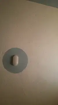 C-yoyo online show from 26, 2, 2025