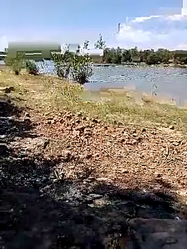 BaseDick online show from 24, 9, 2025