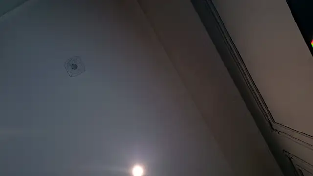 Liv Fay online show from 28, 12, 2024