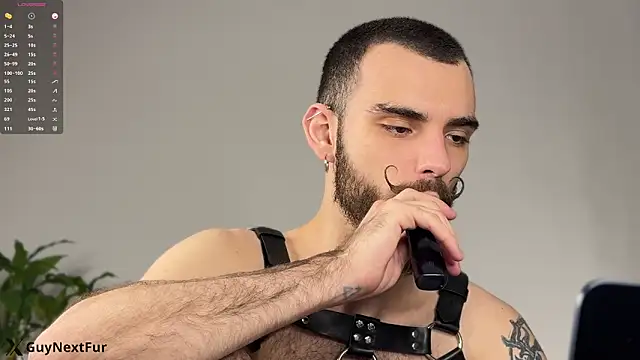 xteddy bear online show from 13, 12, 2025