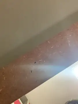 Snapshot of smithrosinha chatting on 19, 9, 2025 smithrosinha online show from 19, 9, 2025