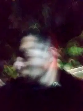 mis312 online show from 4, 3, 2025