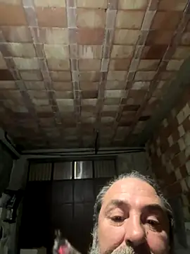 ros217 online show from 11, 11, 2025