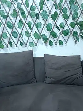 Bold-Cat online show from 21, 9, 2025