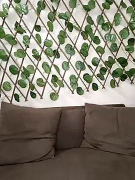 Bold-Cat online show from 2, 10, 2025