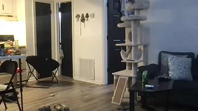 Snapshot of SpunCandy chatting on 1, 10, 2025 SpunCandy online show from 1, 10, 2025