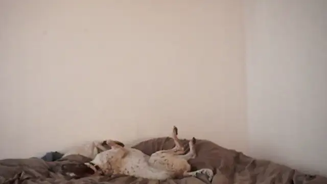 Stephany talks online show from 19, 3, 2025