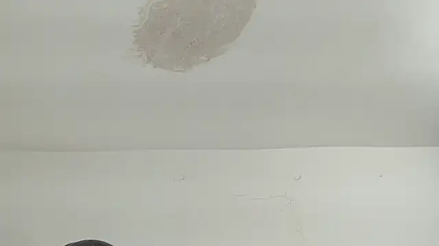 brant garciabbc online show from 16, 4, 2026