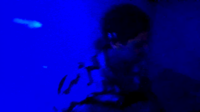 Snapshot of couplemilk chatting on 6, 4, 2026 couplemilk online show from 6, 4, 2026