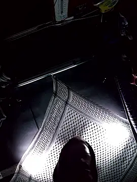 Snapshot of TRebelG chatting on 6, 1, 2026 TRebelG online show from 6, 1, 2026