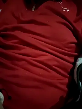 CuriousBear online show from 29, 4, 2026