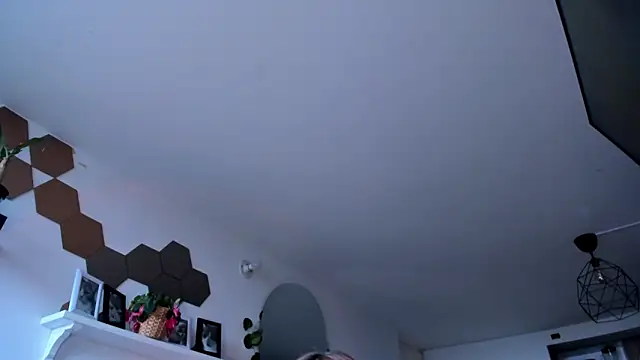 evy orange1 online show from 5, 3, 2026