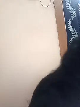 Anjali 88 online show from 22, 12, 2025