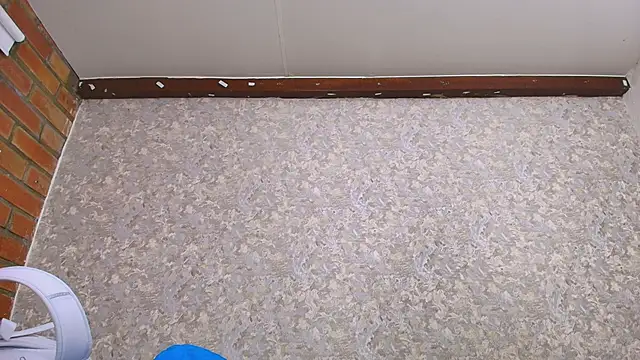 Snapshot of nicol_f chatting on 12, 1, 2025 nicol f online show from 12, 1, 2025