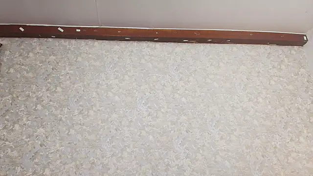 Snapshot of nicol_f chatting on 5, 3, 2025 nicol f online show from 5, 3, 2025