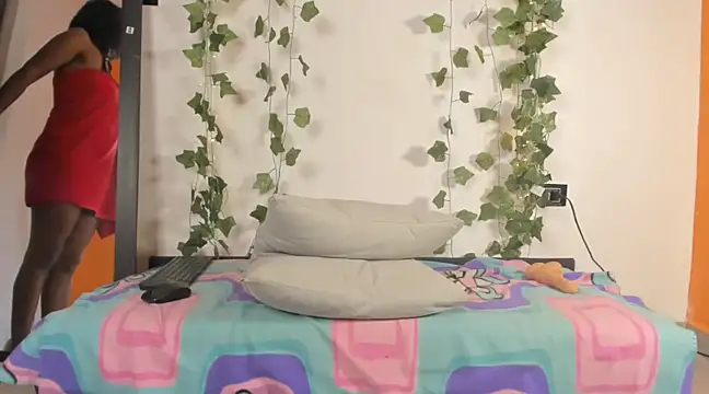 Cataleya19   online show from 28, 1, 2025