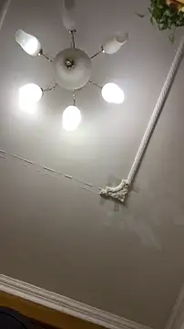 shuai321 online show from 15, 12, 2024