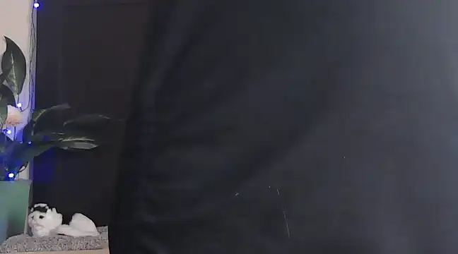 Snapshot of WildRuhi20 chatting on 25, 1, 2025 WildRuhi20 online show from 25, 1, 2025