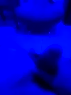 NICXUSS online show from 4, 12, 2025