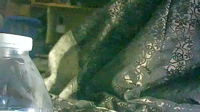 DI4MOND FIR3 online show from 17, 3, 2026