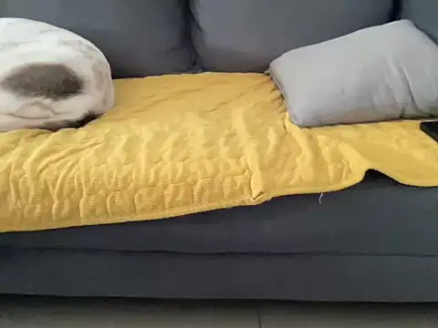 4small4inchlol online show from 13, 10, 2025