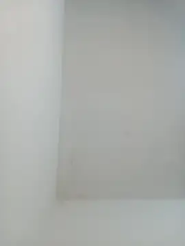 igor miller20 online show from 1, 2, 2025