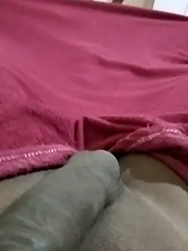 Pua009 online show from 11, 11, 2025