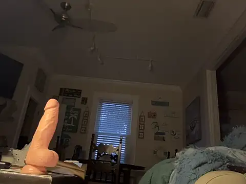 Snapshot of cloudy_switch chatting on 28, 12, 2024 cloudy switch online show from 28, 12, 2024