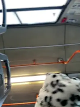 Milkyy wway online show from 19, 1, 2025