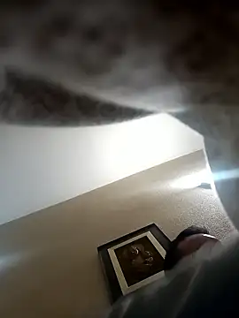 Porco81cazzo online show from 5, 1, 2026