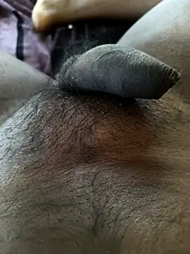 goodszy online show from 3, 12, 2025