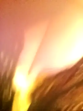 Snapshot of JAWHARA_ chatting on 14, 12, 2025 JAWHARA online show from 14, 12, 2025