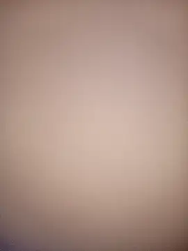 bustybillies online show from 3, 12, 2025