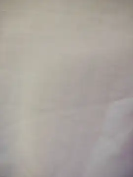 Rina777o online show from 19, 4, 2026