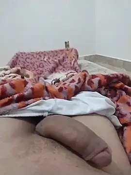 lm279 online show from 27, 2, 2025