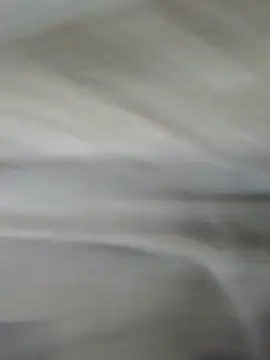 lm279 online show from 1, 11, 2025